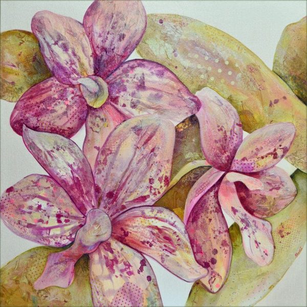 Orchid Envy-Artofshadia - 1