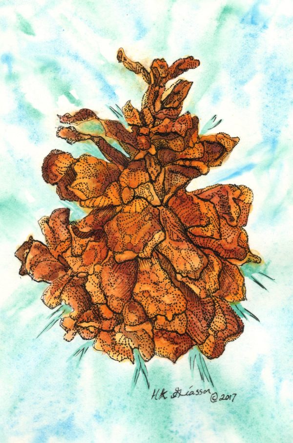 Winter-Pine-Cone-Ii-Botanical-Watercolor-Painting