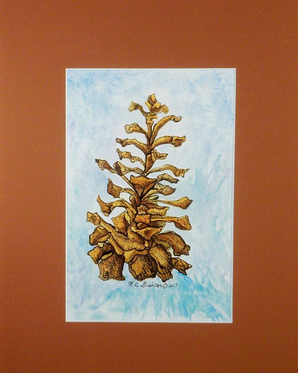 Winter-Pine-Cone-Iii-Botanical-Watercolor-Painting