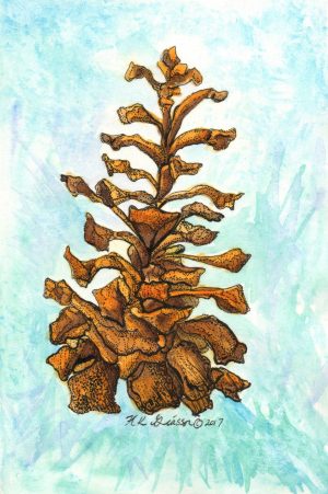 Winter-Pine-Cone-III-Botanical-Watercolor-Painting