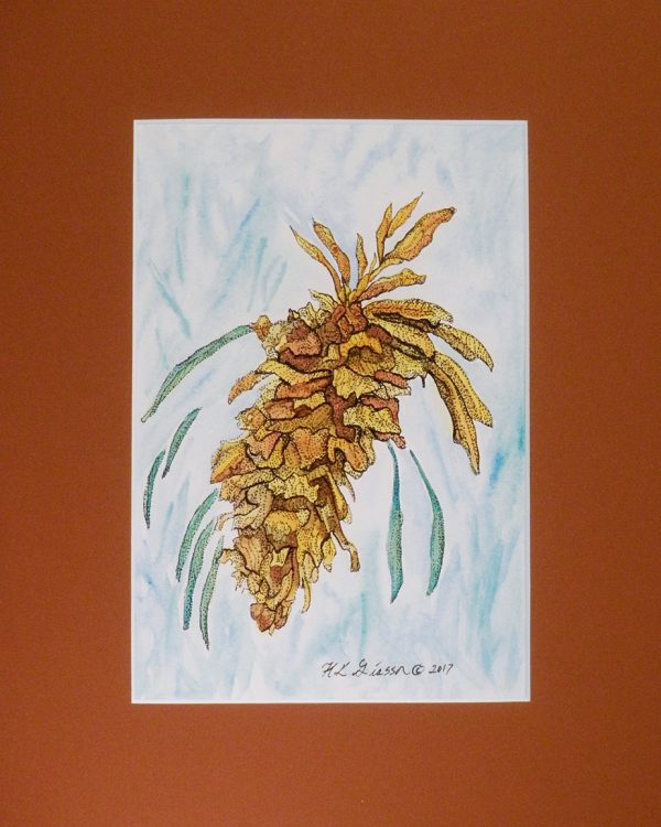 Winter-Pine-Cone-Iv-Botanical-Watercolor-Painting