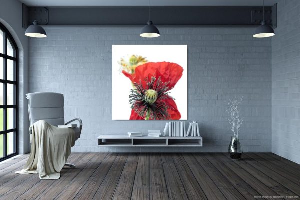 In_Your_Face_Poppy_476_Staged_Debbie O Lucas_24X24 - 2