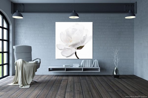 Miss_Peony_Staged_Debbie O Lucas_Photography_24X24 - 2