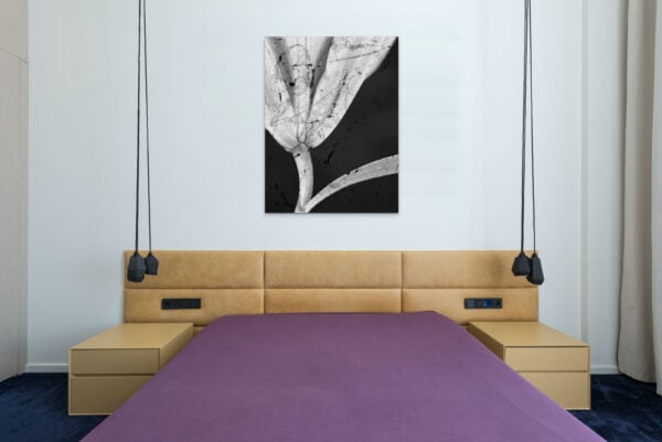 Large Modern Tulip Photograph Artwork For Bedroom