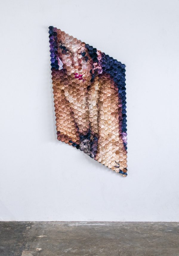 Portrait Of Velvet Woman Sewn On Hexagons