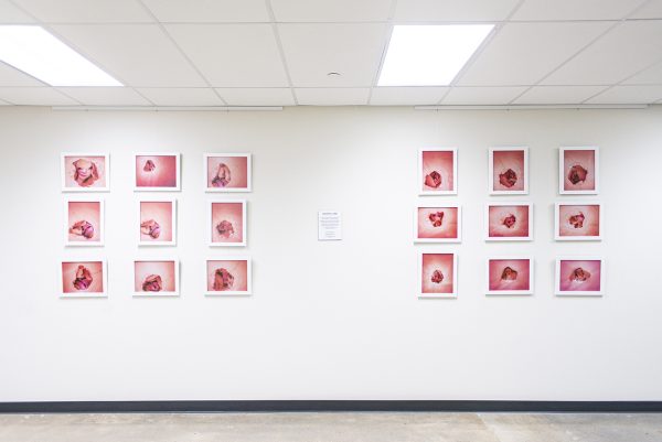 Installation View Of Idea Form Series At Oakland University