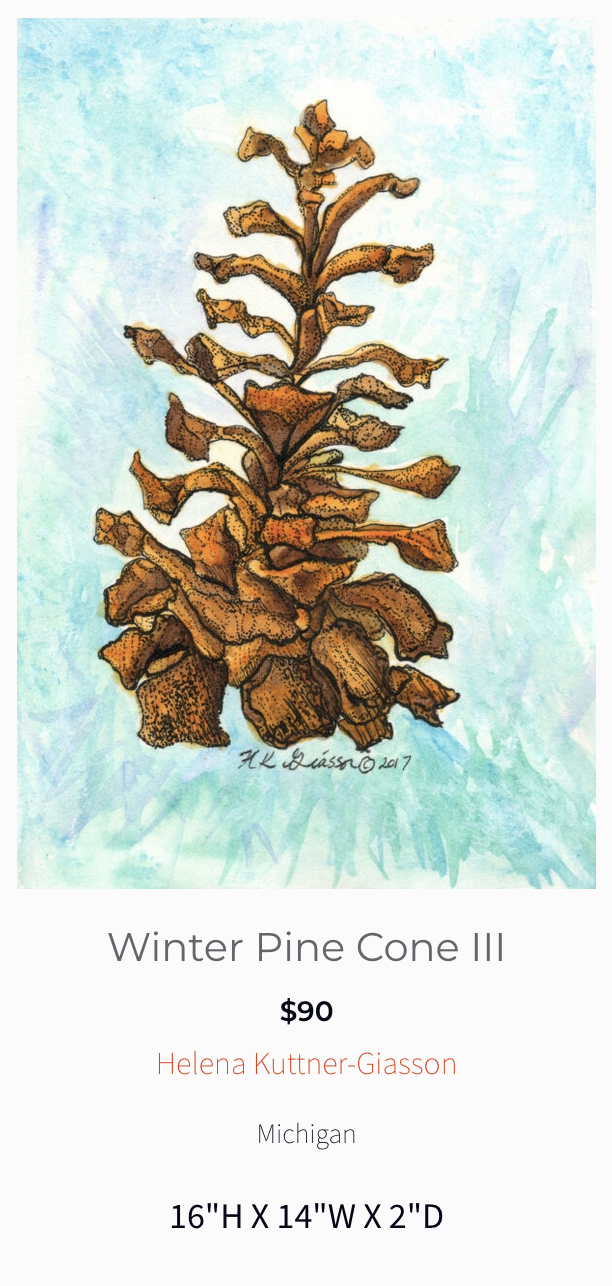 Colored Pencil Drawing Botanical Pine Cone