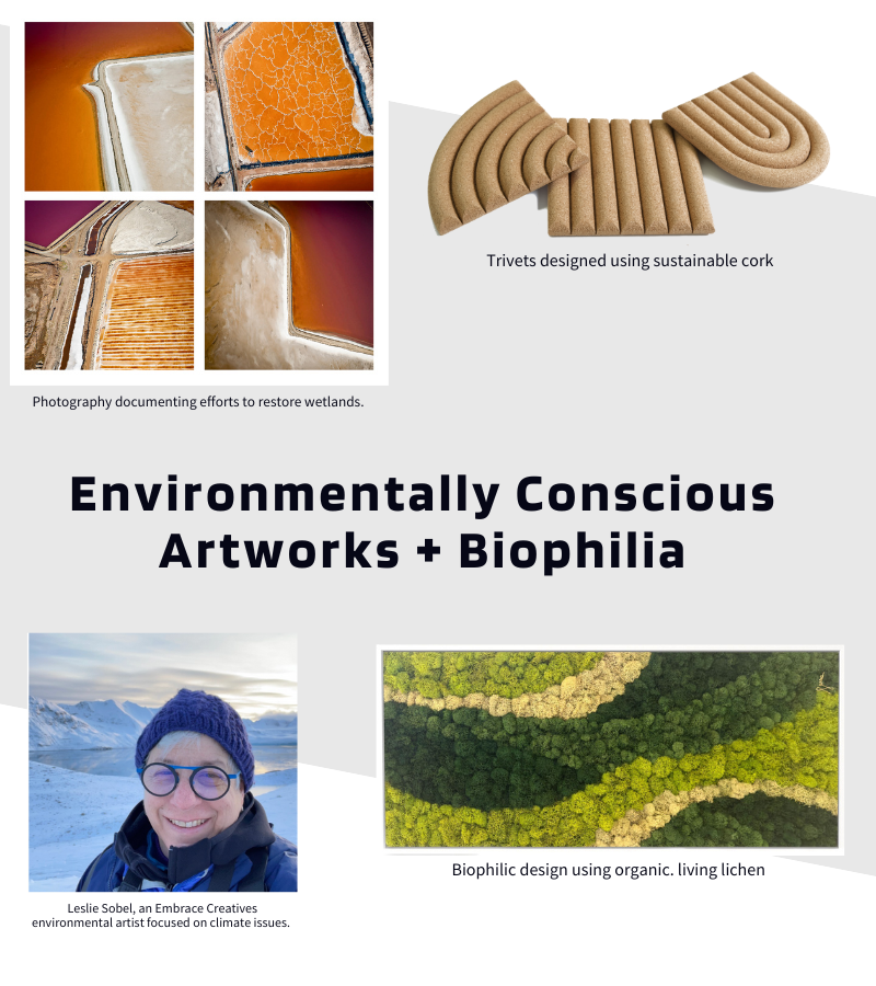 Environmental Artworks - Buy Quality Art From Local Artists 11